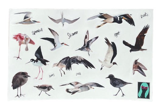 Shore Bird Sticker Sheet